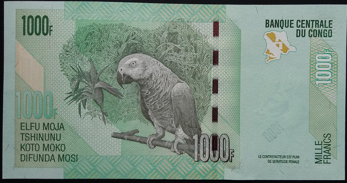 How-Far-Back-Can-We-Go?---With-Banknotes!-Second-Edition!