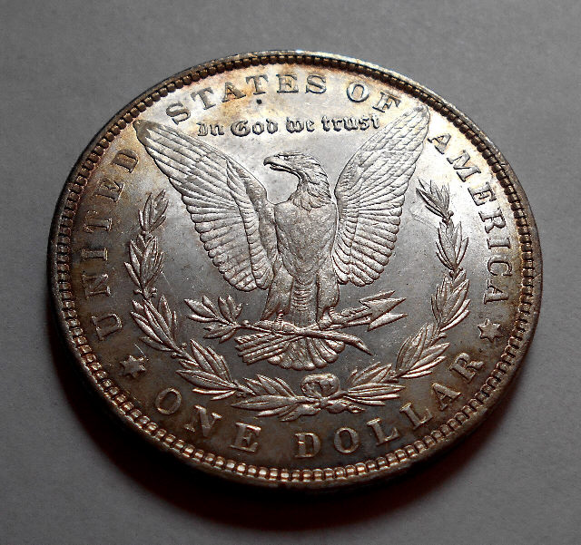 Both-Of-These-Morgans-Look-Odd-To-Me.-Opinions-Please.
