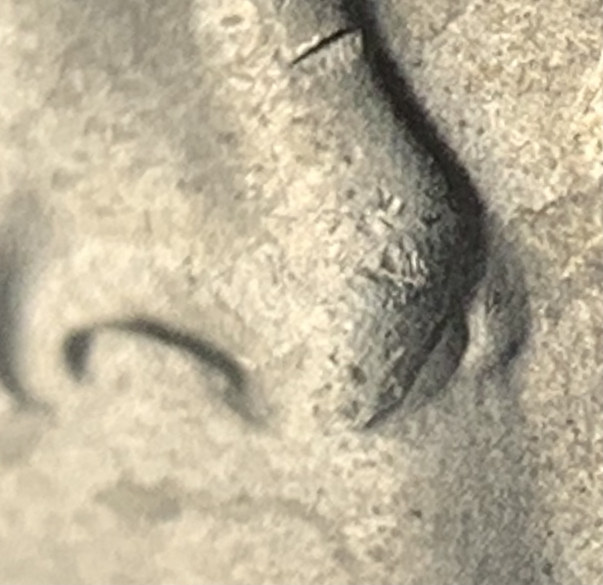 2020-P-Jefferson-Nickel-Possible-New-Discovery-DDO?