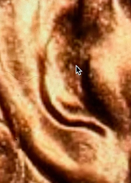 1997-Lincoln-Memorial-Cent.-Ufo.