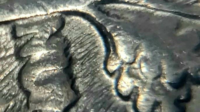 1981-P-Dime-Error?-Looks-Like-Extra-Leaf-Vein-Or-Stem-Ontop-Of-Leaf