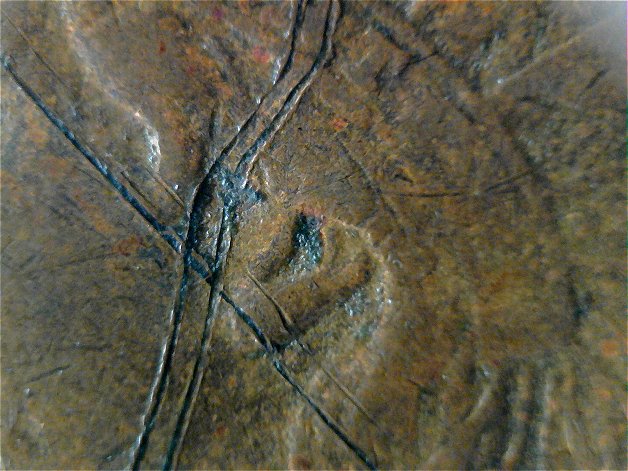 1895-IHC--Cracked-Die-Or-Damaged?