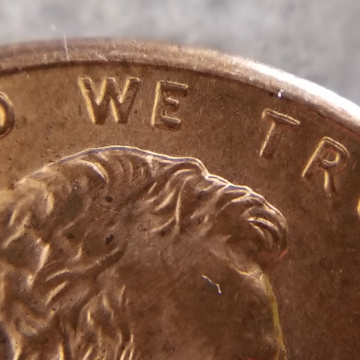 Thinking-This-May-Be-A-1995-D-1�-WDDO-003?