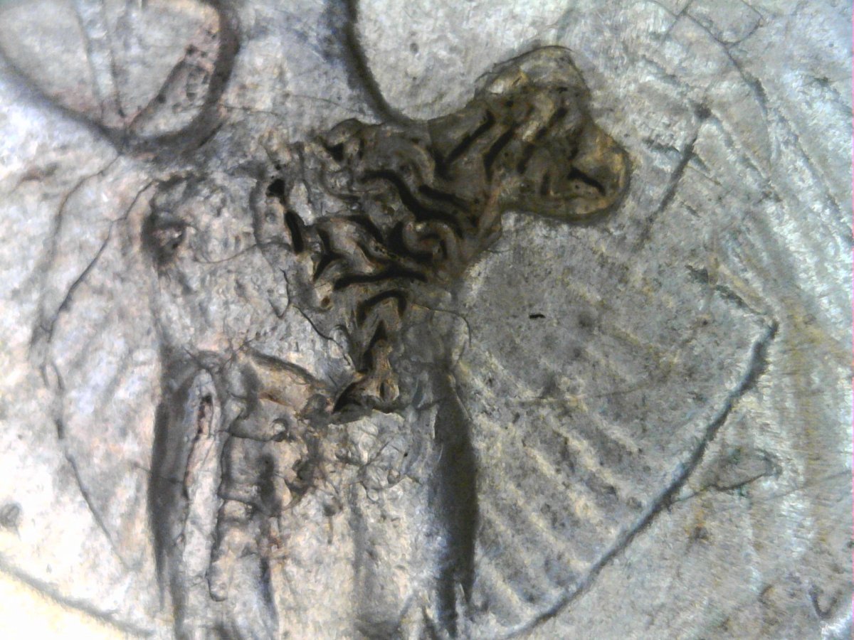 1950-D-Quarter-Cleaned-With-Googone-Reveals-Metal-Objects