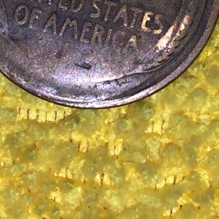 1919-D-Wheat-Penny-Error