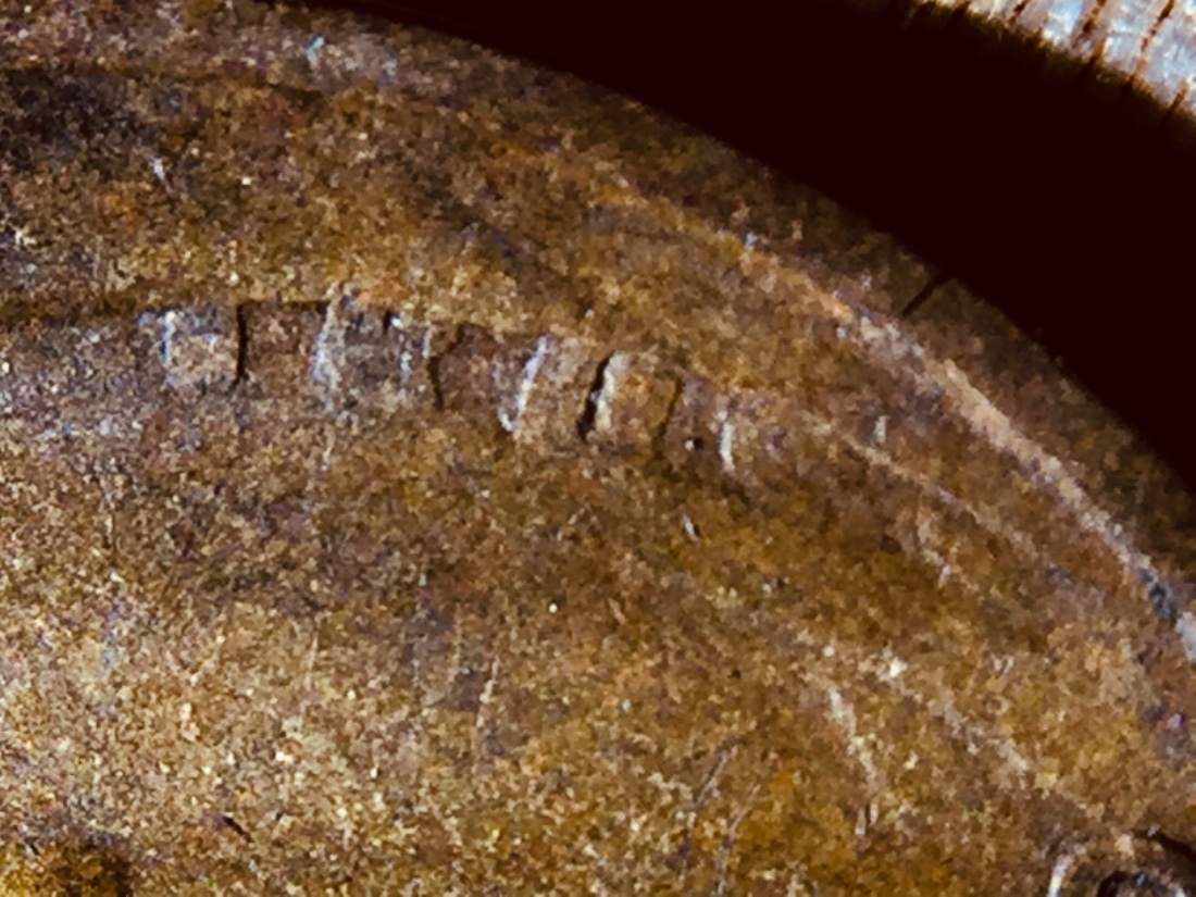 1919-D-Wheat-Penny-Error