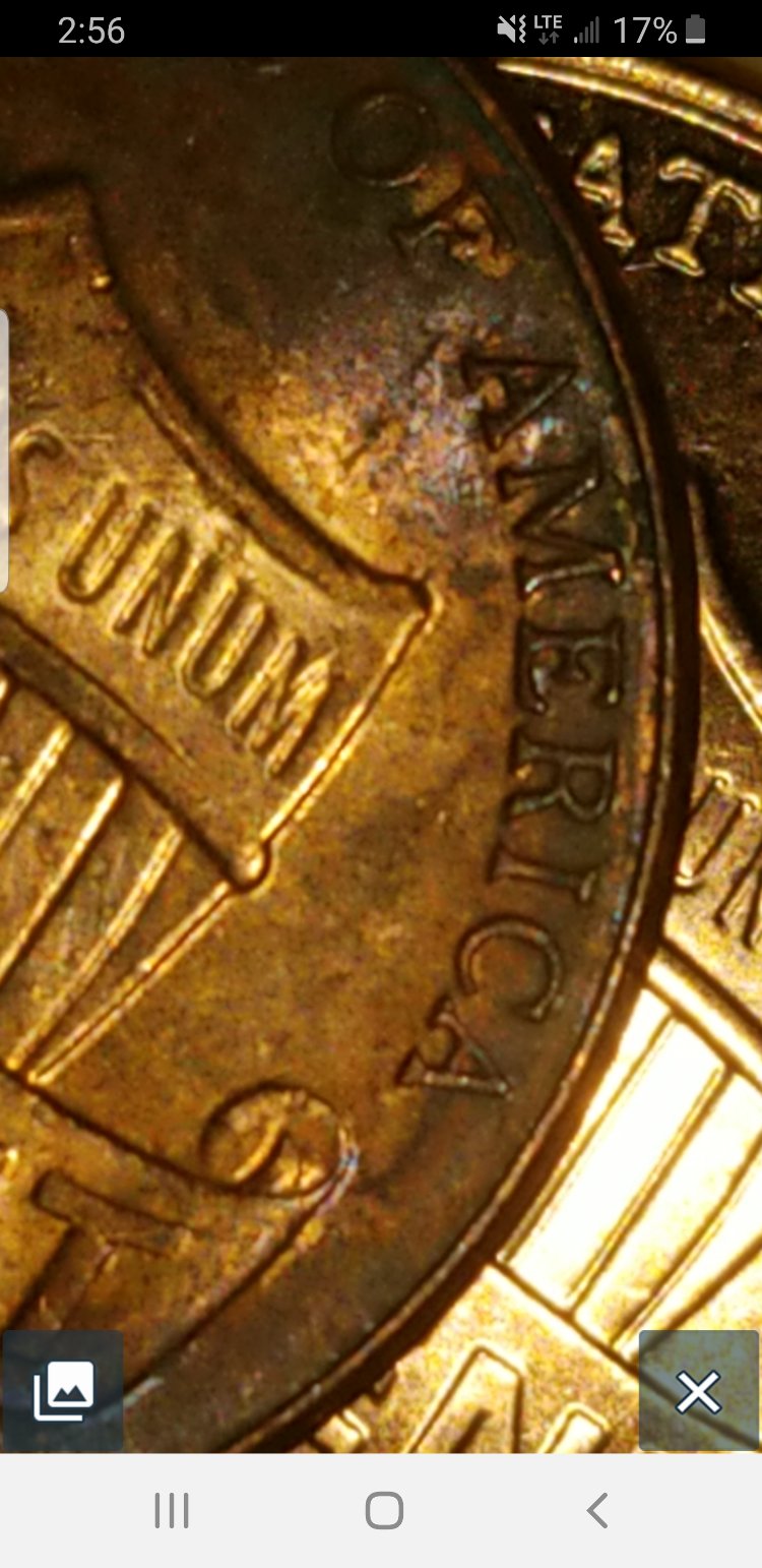 Wide-A-M-2021-Shield-Penny-Help.