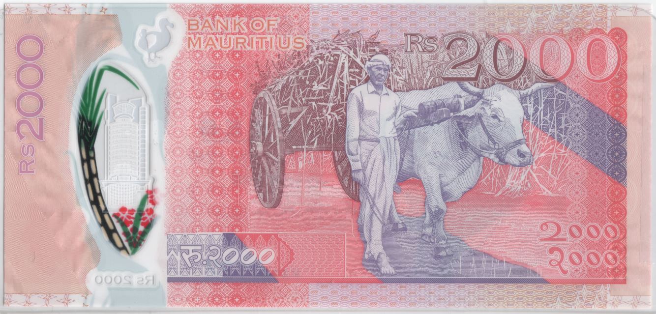 How-Far-Back-Can-We-Go?---With-Banknotes!-Second-Edition!