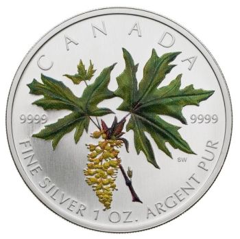 G-L-B-49's-Random-Silver-Coins