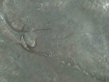 1983-Penny-Looks-Like-Fish-Hooked-Ear