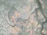 1995-Doubled-Ear-Or-Damaged-LMC?