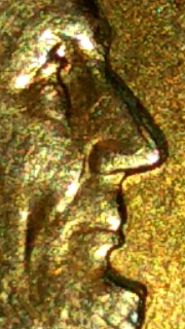 1995-Cent-Lines-In-Nose-Doubling?