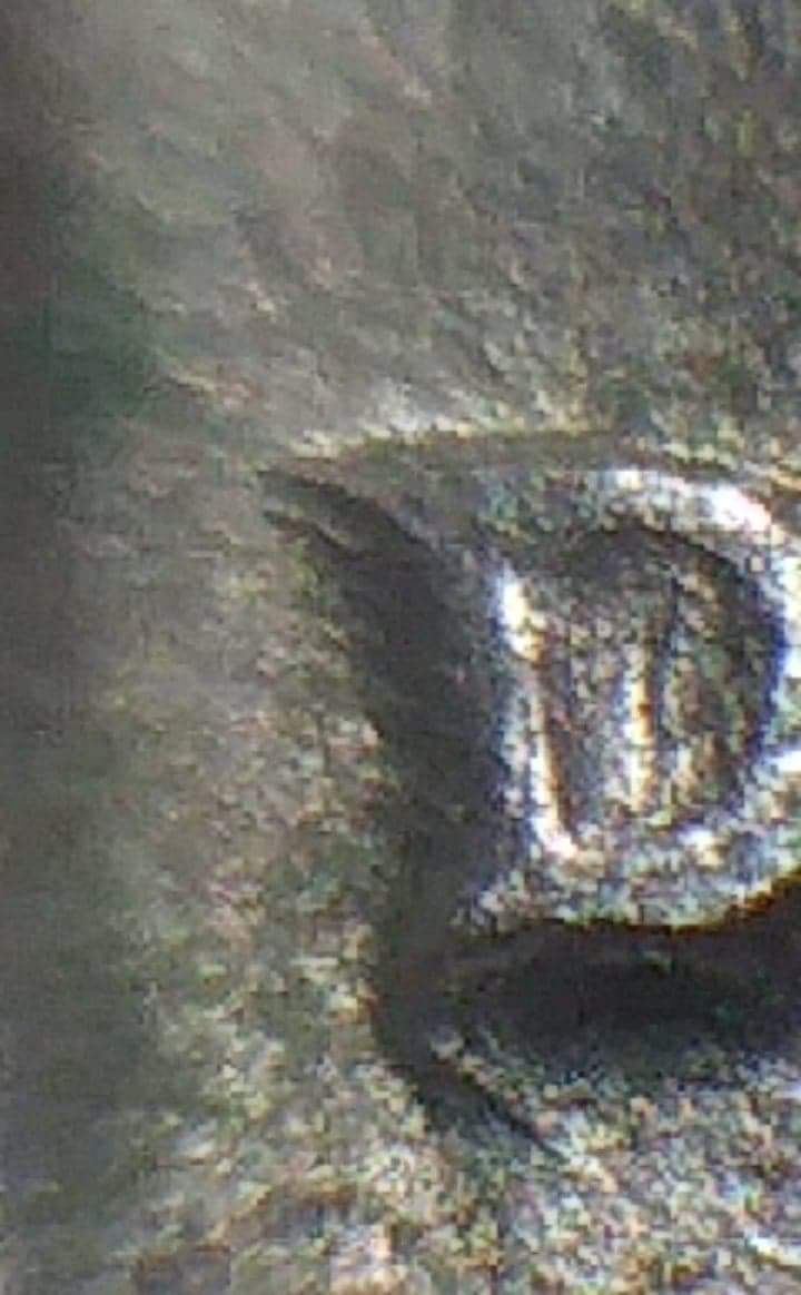 1964-D-Jefferson-Nickel-/-Someone-Please-Help-Me-With-Which-One-This-Is.