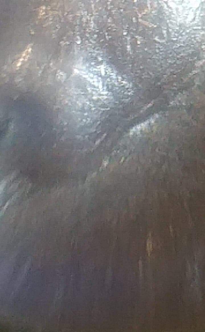 Is-The-Forehead-Of-Lincoln-Doubled,