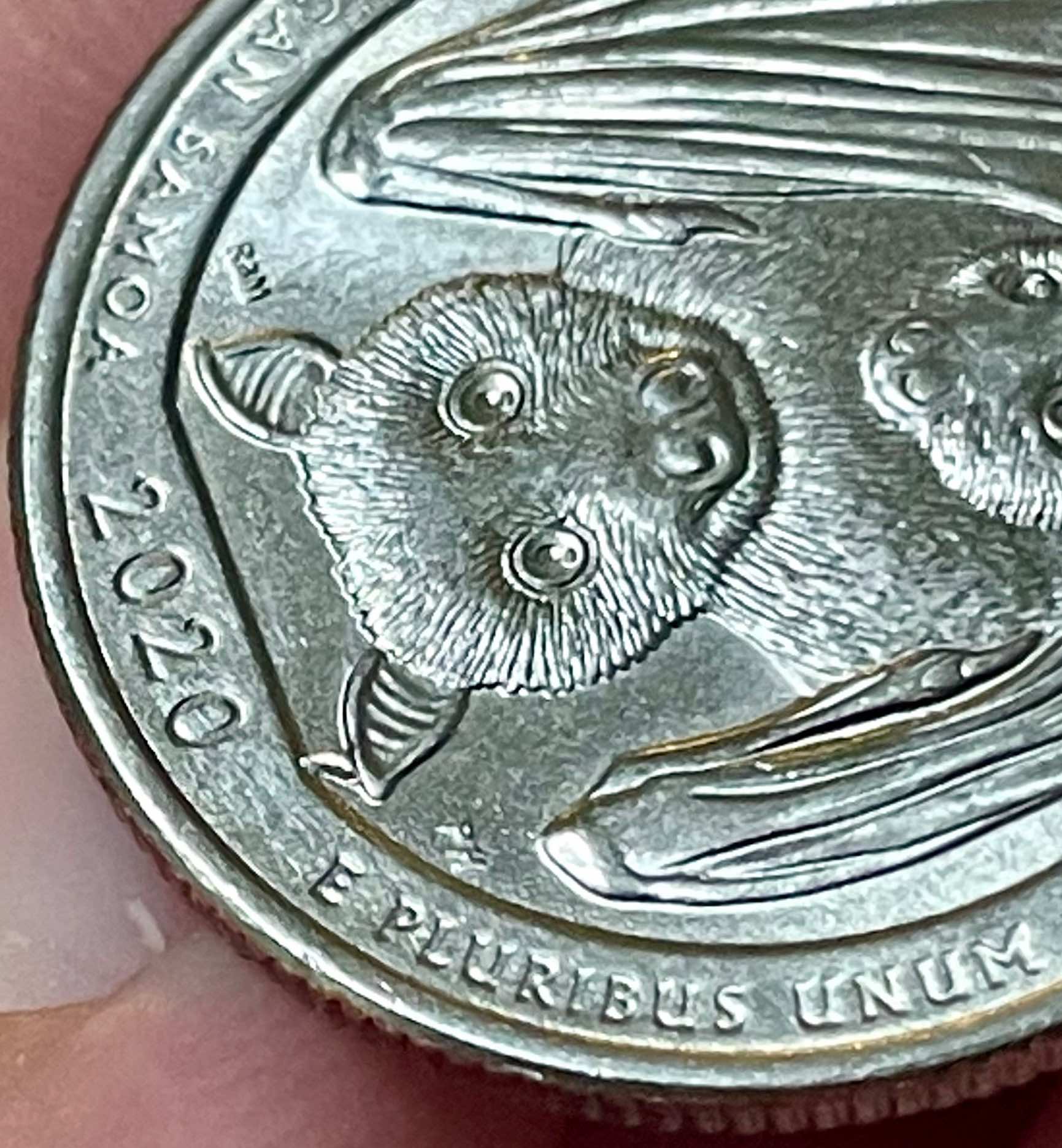 2020-P-Bat-Quarter--Die-Chip-Error?