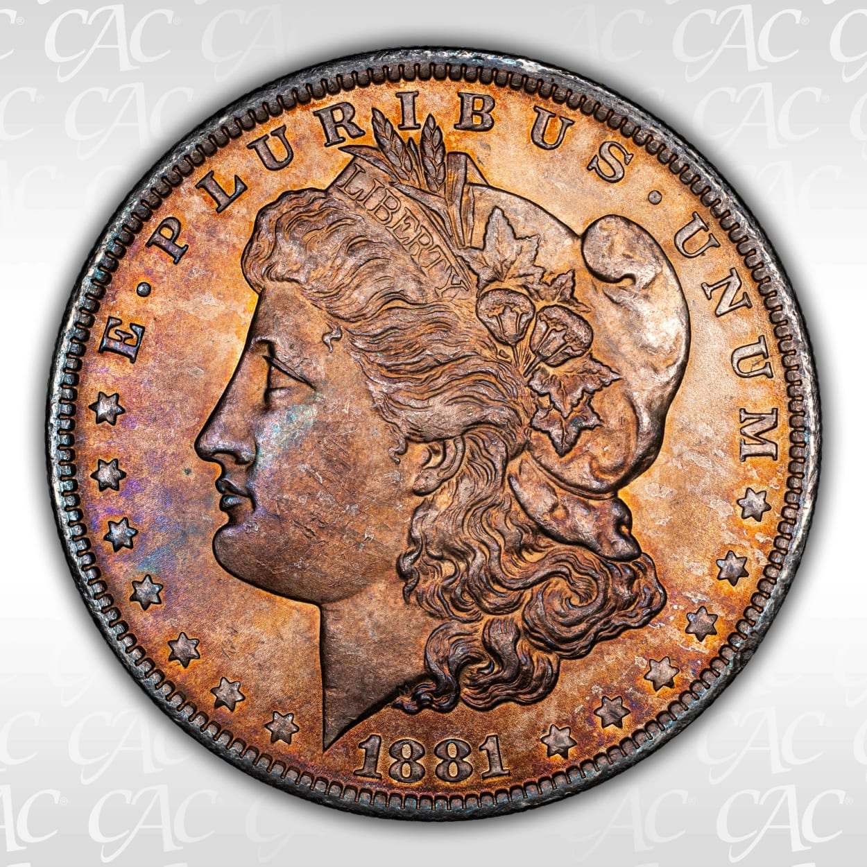 1881-And-1882-Morgan-Dollars:-Questionable-Toning?