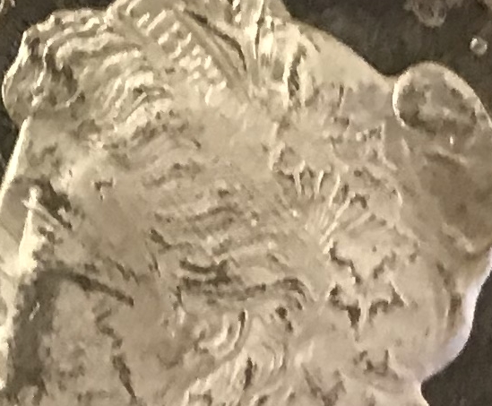 Planchet-Striations?-Or-Something-Else?-Attribute-Of-A-'79-S-VAM,-Maybe?