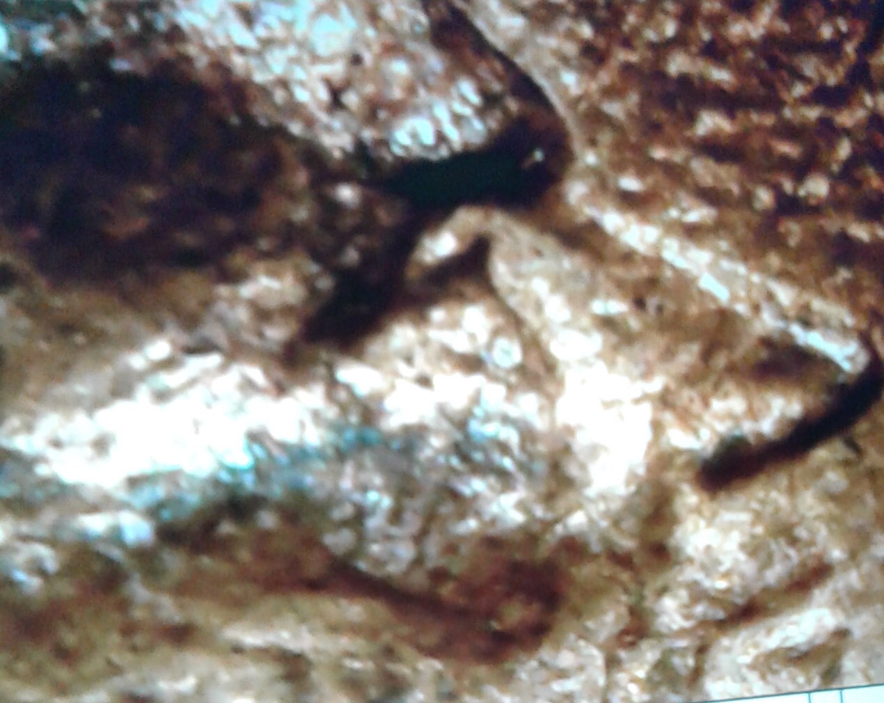 1982-Large-Date-Lincoln-Cent,-DDO-&-DDR!?!