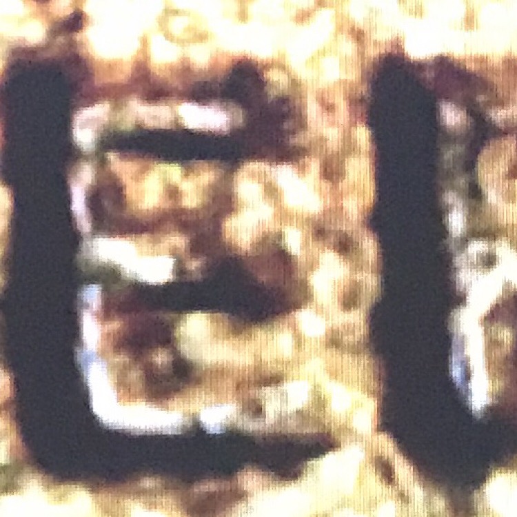 1982-Large-Date-Lincoln-Cent,-DDO-&-DDR!?!
