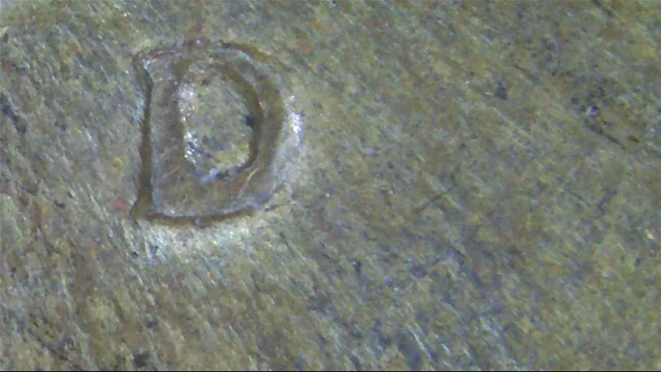 1946-D-Lincoln-Wheat-Cent---Illusion-Or-Extra-MM?