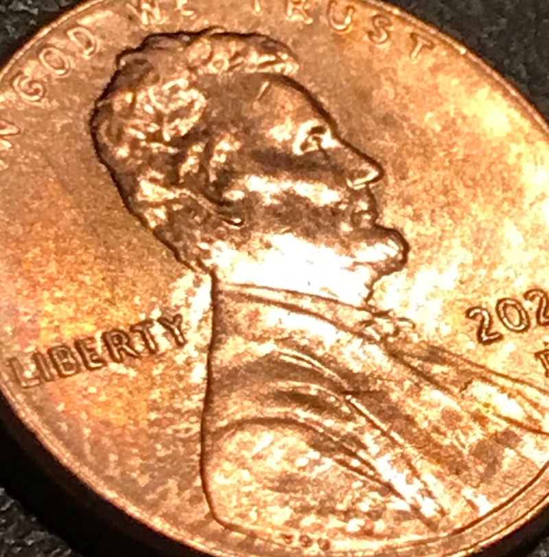 2021-Penny-Better-Pics-But-I-Did-Find-This-One-Finger-Feeder-Or-Die?don't-Believe-Roller