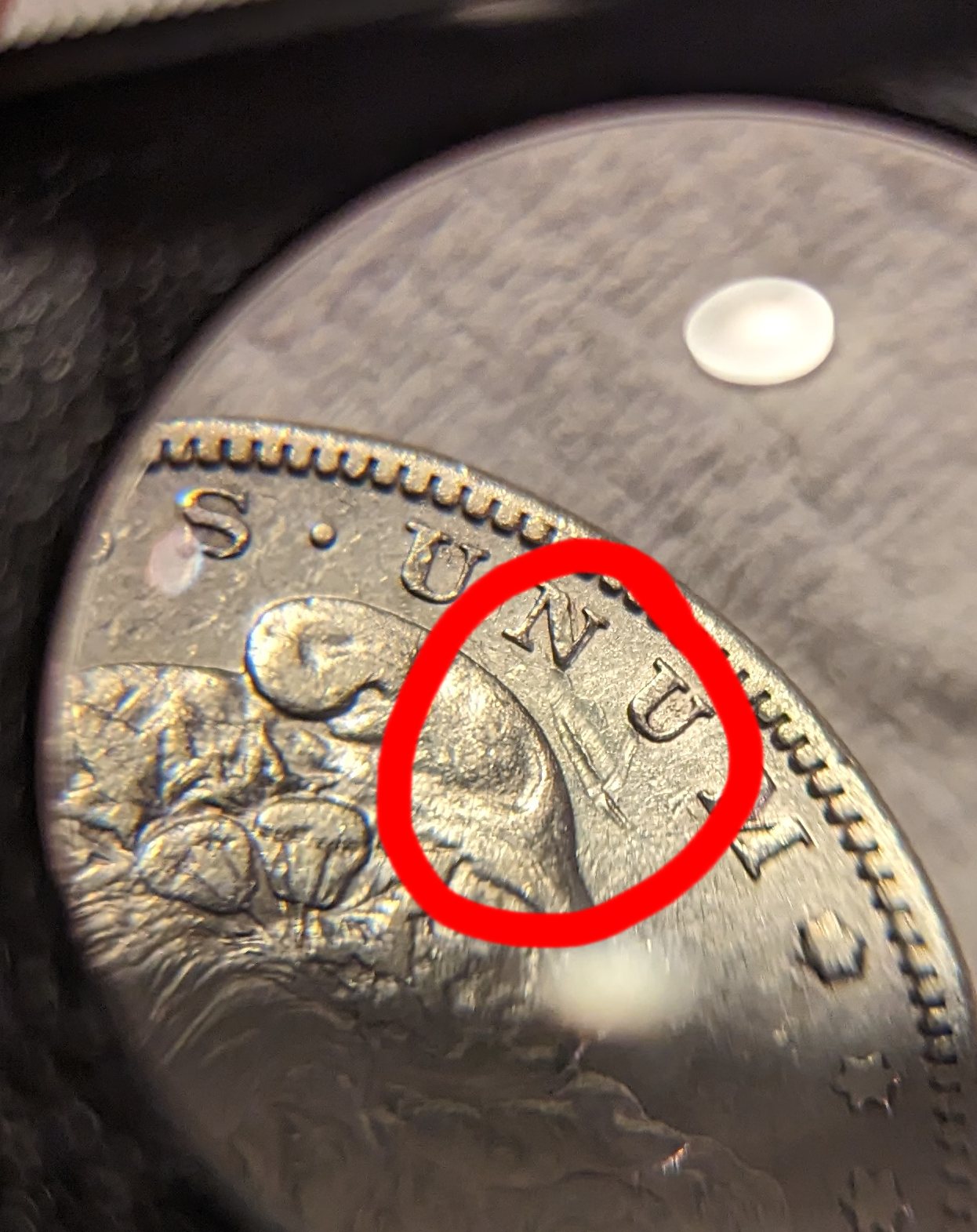 1884-S-Morgan-Dollar---What-Causes-This?-Die-Clash?-Something-From-Circulation?