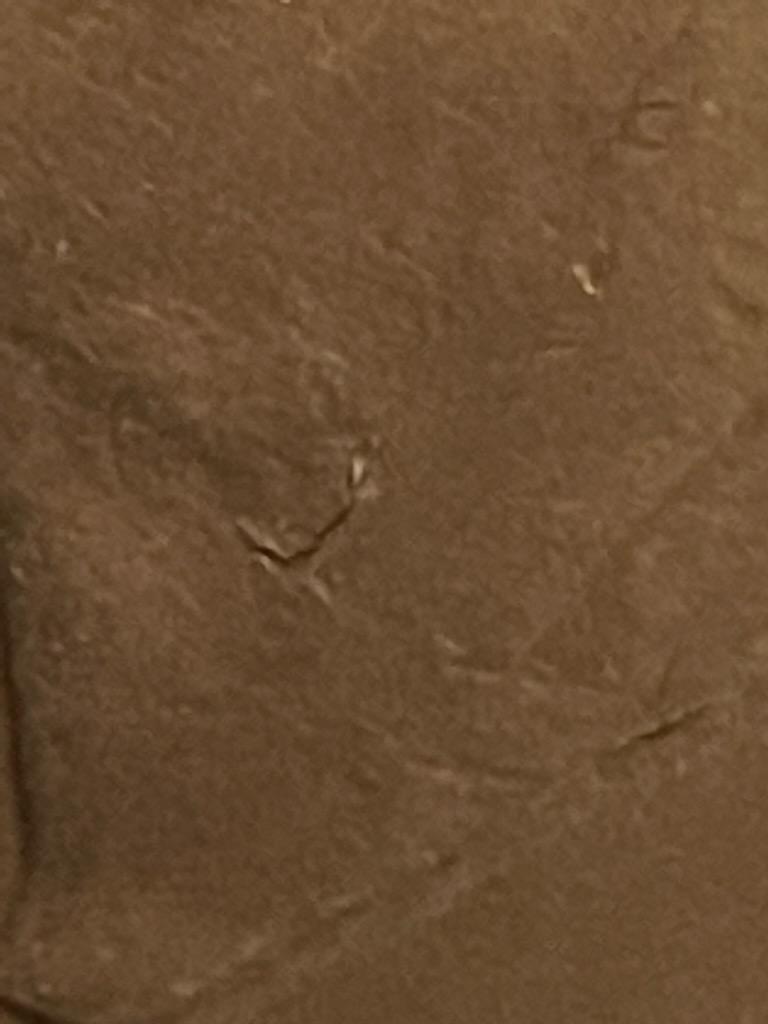 Eisenhower-Bicentenniel-Dollar-With-A-Die-Crack-Or-Lamination-Error?