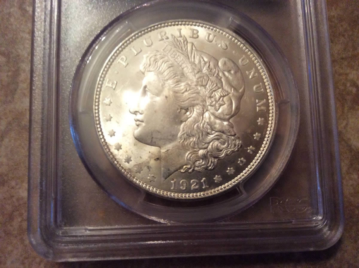 You-Vs.-PCGS:-Morgan-Dollar