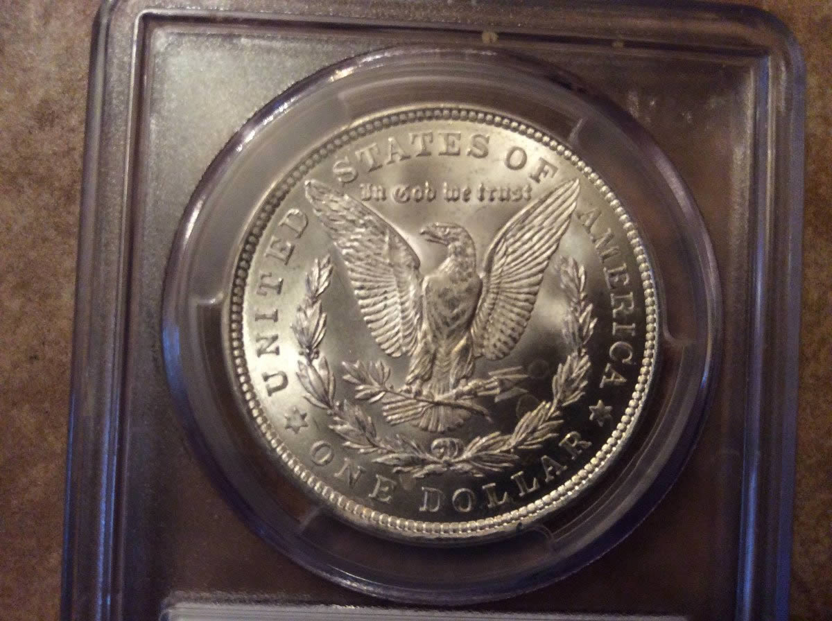 You-Vs.-PCGS:-Morgan-Dollar
