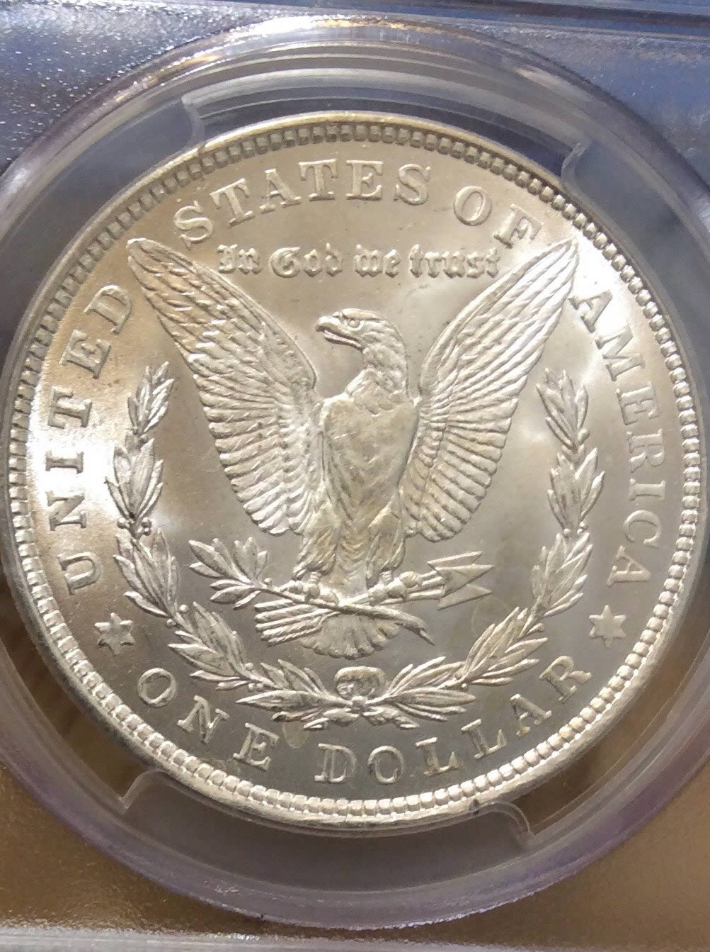 You-Vs.-PCGS:-Morgan-Dollar
