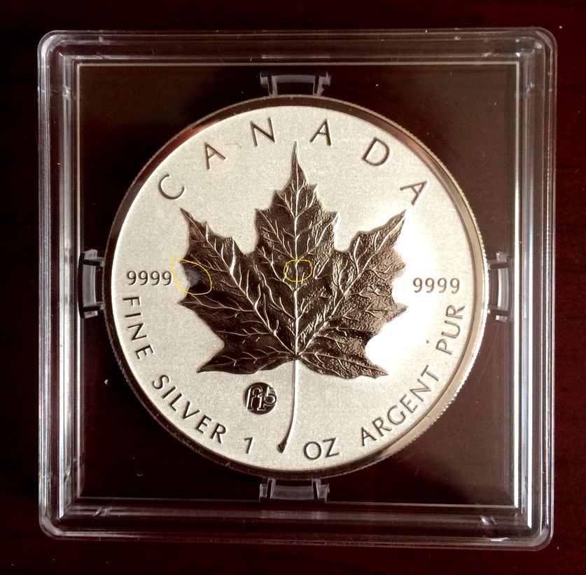 Silver-Maple-Leafs-With-Fabulous-15-Privy