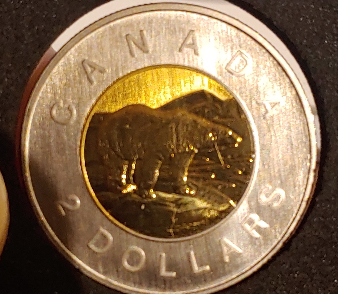 1996-Canadian-Toonie-German-Planchet