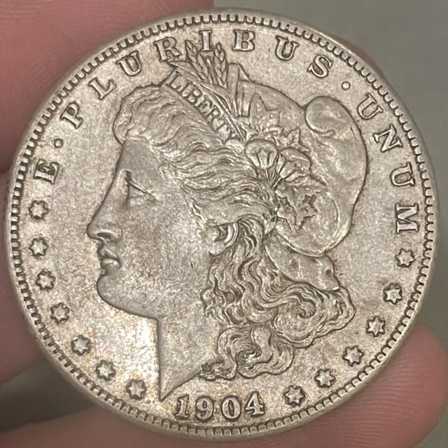 1904-S-Morgan-Grade-Help