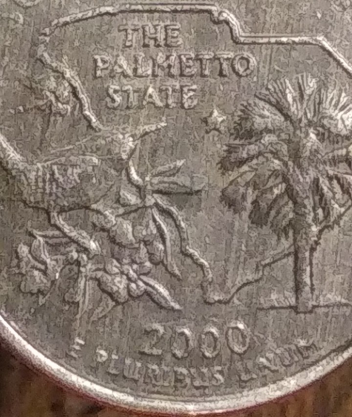 2000-South-Carolina-State-Quarter-Error/Variety?