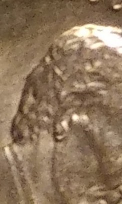 1985-LMC-/-Double-Ear?