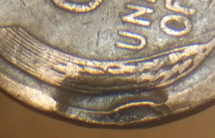 1947-D-LWC/Fold-Or-Hot-Peel?