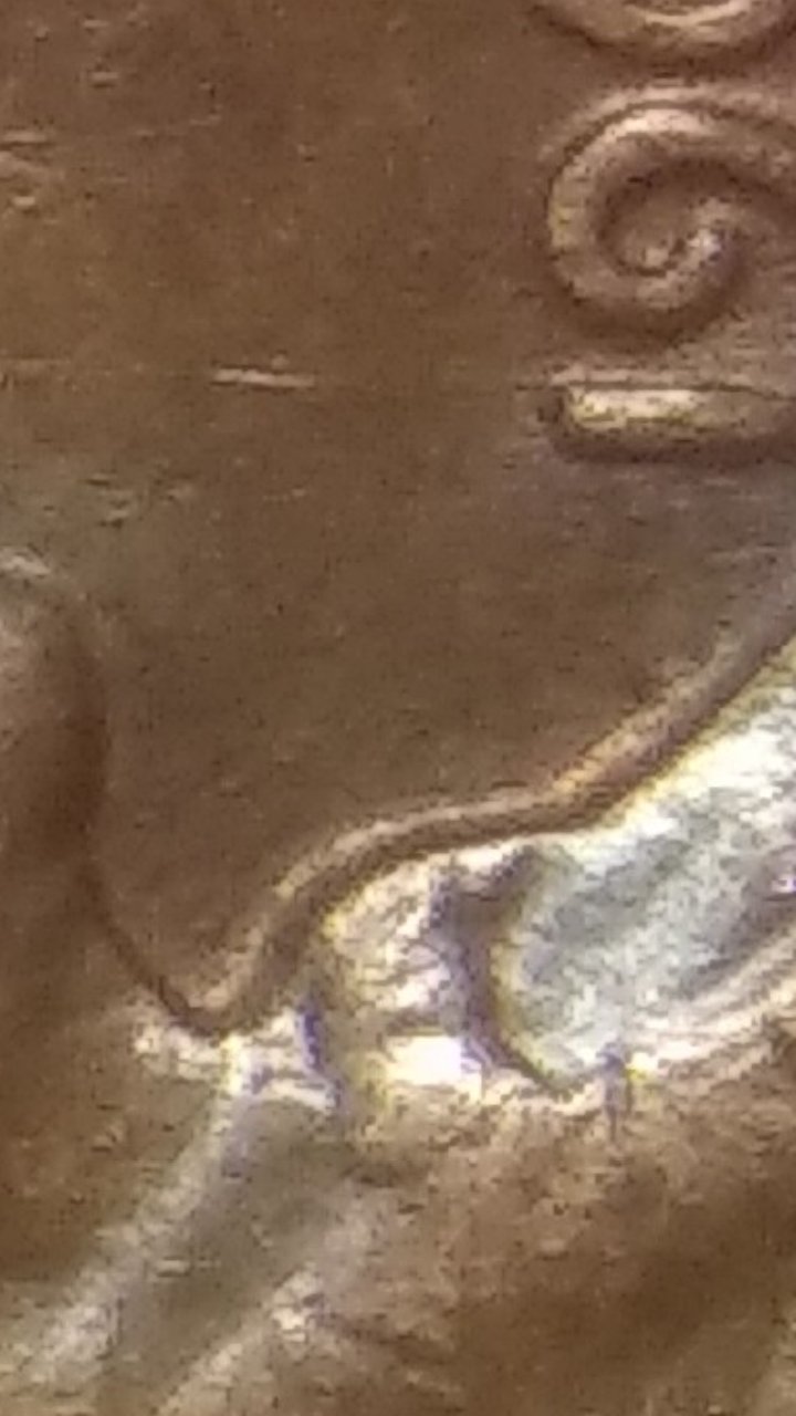 1967-LMC-Possible-DDO?
