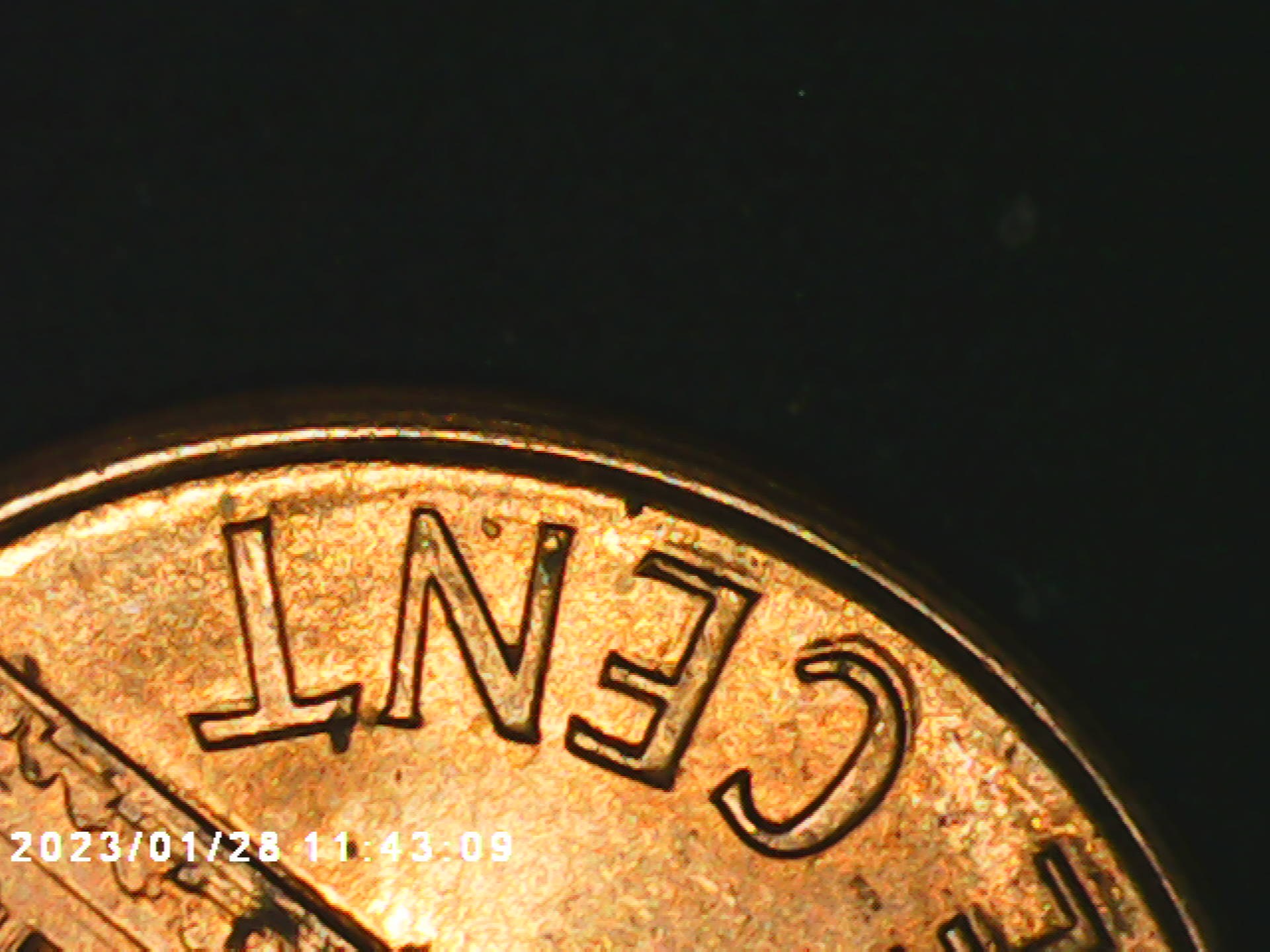 1991-D-Penny-DDO-+-DDR-Value?