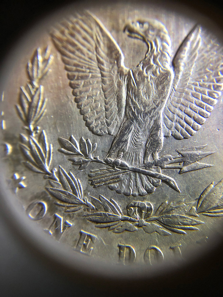 VAM-Identification-Help-Please!