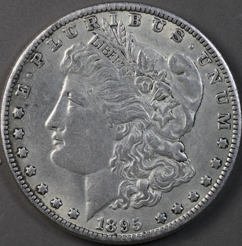 1895-S-Morgan-Please-Grade-If-Real