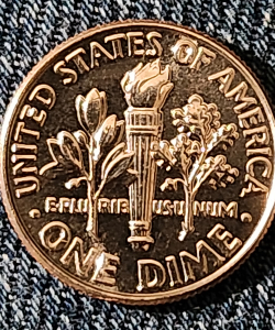 2022-D-Roosevelt-Dime-Possible-Errors?