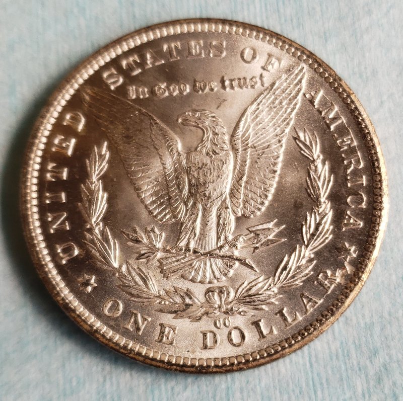 1881-Morgan-CC-For-Grading!
