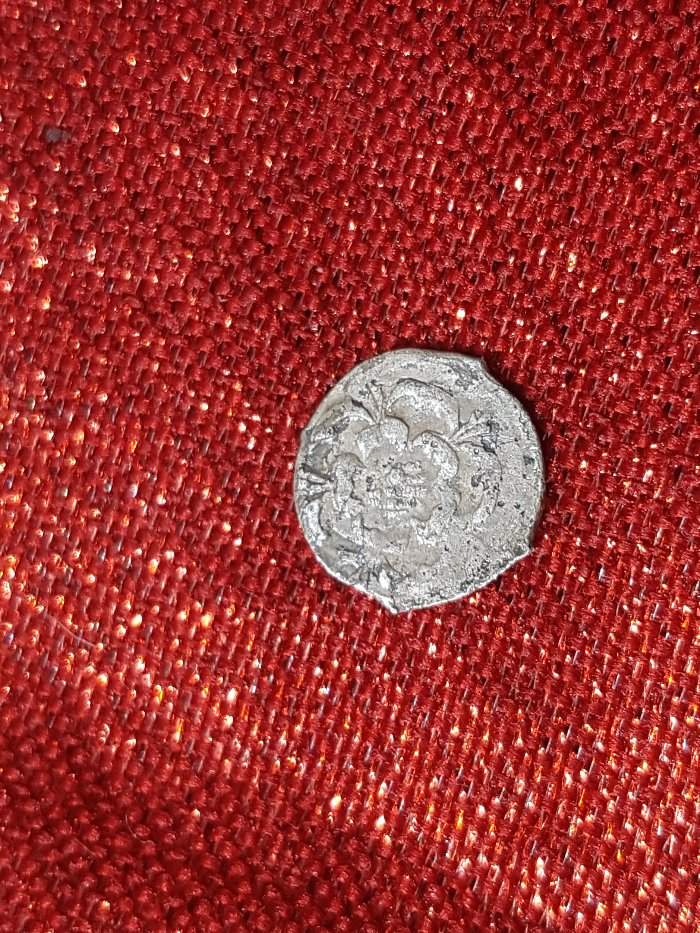 Help-Needed-To-Identify-A-Tudor-Coin