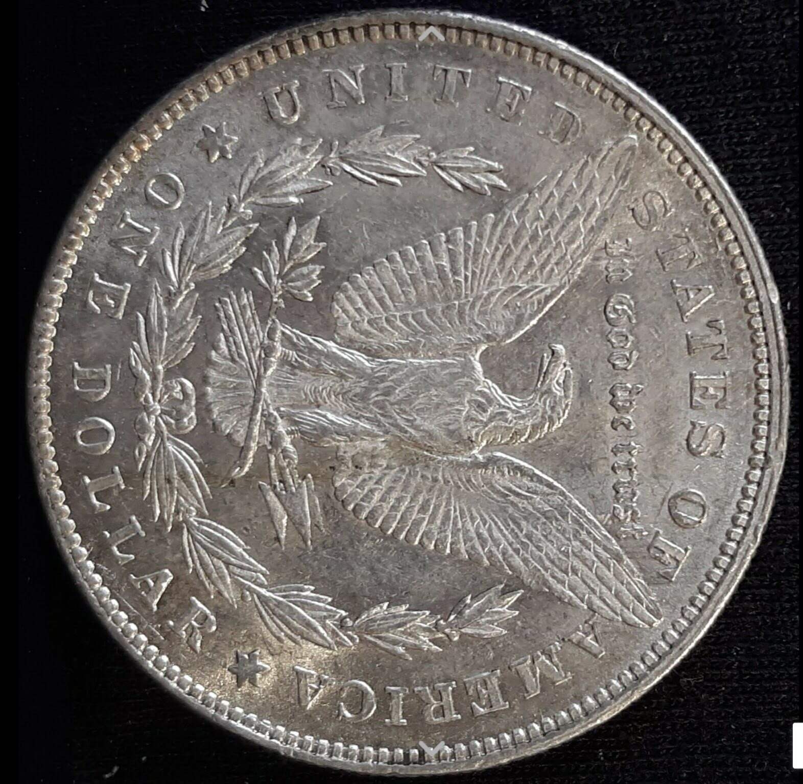 Need-Help-To-Identify-My-First-1878-Morgan