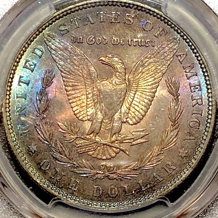 How-Much-Does-Toning-Relate-To-Value?-1887-Morgan-Dollar