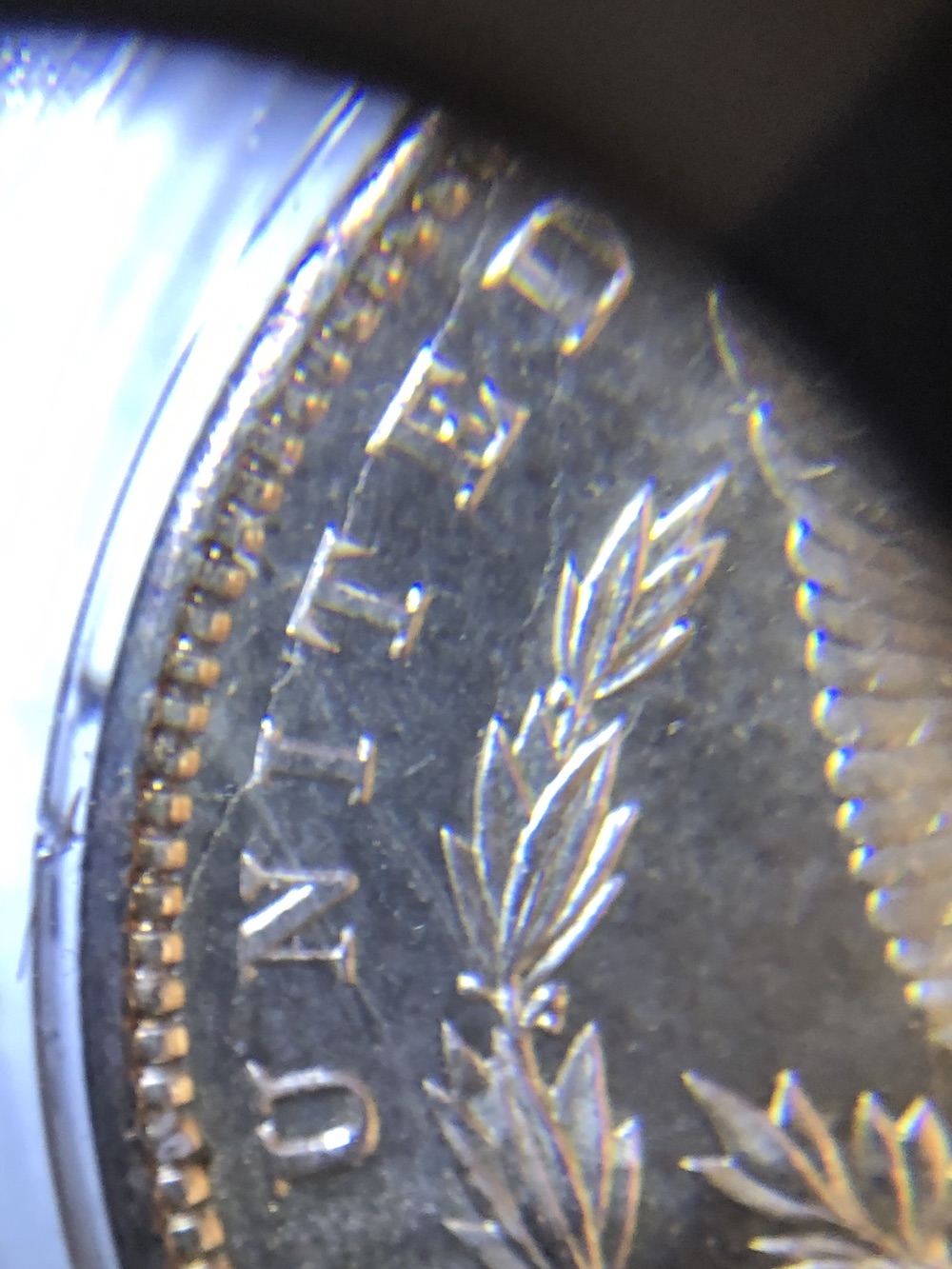 1898-Morgan-Dollar-VAM-Insight