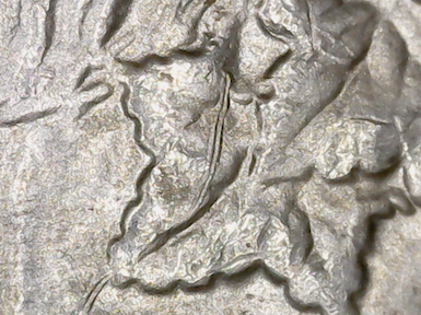 1882-O-Morgan-Dollar-Variety-Type-And-Grade-Help?