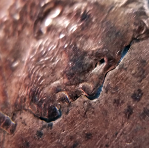 1993-LMC.-Is-This-Just-Rotting-Or-Is-It-Something-Unusual?