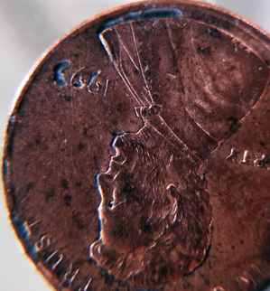 1993-LMC.-Is-This-Just-Rotting-Or-Is-It-Something-Unusual?