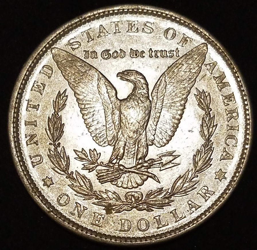 1890-P-Morgan-Dollar.-Help-With-Grading?
